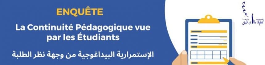 Questionnaire pour évaluer les mécanismes de l’enseignement à distance dans les universités marocaines – استبيان لتقييم آليات التعليم عن بعد بالجامعات Questionnaire pour évaluer les mécanismes de l’enseignement à distance dans les universités marocaines – استبيان لتقييم آليات التعليم عن بعد بالجامعات