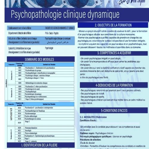 APPEL A CANDIDATURE (Master d’Université Spécialisé (MUS) « Psychopathologie Clinique Dynamique »)