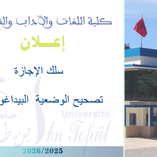 تصحيح الوضعية البيداغوجية تصحيح الوضعية البيداغوجية