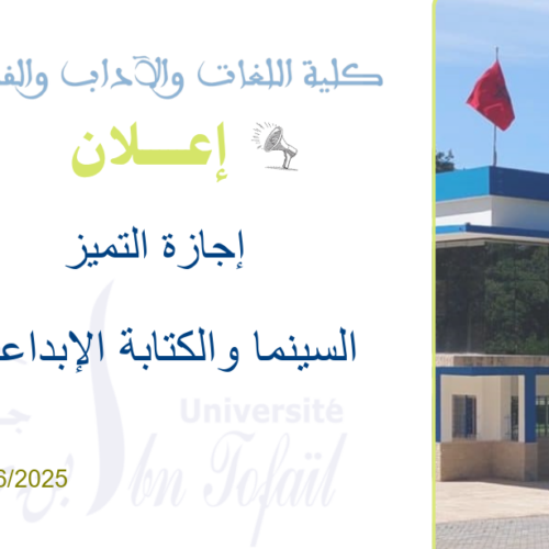 إجازة التميز في السينما والكتابة الإبداعية