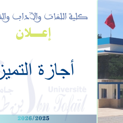 سينما الإبداع والفنون الرقمية وإجازة التراث المعزز والفنون التفاعلية المعاصرة